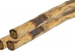 Kastanjepaal geschild, gepunt, niet gekruind ø10-12 x 300 cm     P021382