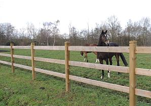 Dinowood Econoom Paardenafsluiting Tussenligger 3,00mx34mmx120mm PATL300034120