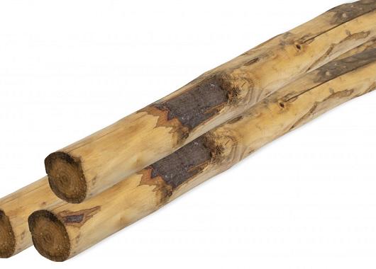 Kastanjepaal geschild, gepunt, niet gekruind ø10-12 x 300 cm    P021382