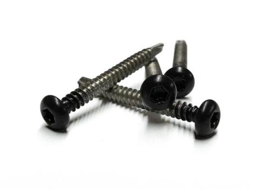 RVS schroef met gekleurde top voor NTW Castellation PRO, set a 50 stuks incl. bit, Ebony Zwart.   1063916