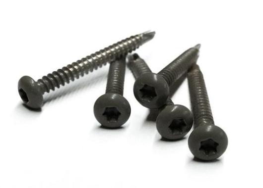 RVS schroef met gekleurde top voor NTW Castellation PRO, set a 50 stuks incl. bit, Silver gray.   1063913